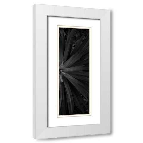 Lush 2 White Modern Wood Framed Art Print with Double Matting by Phillip, Jamie