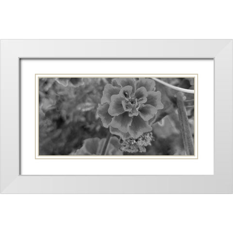 Flow 2 White Modern Wood Framed Art Print with Double Matting by Phillip, Jamie