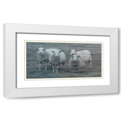 Sheepish 1 White Modern Wood Framed Art Print with Double Matting by Phillip, Jamie