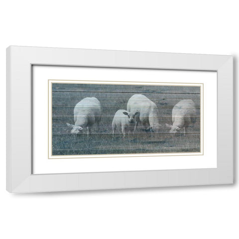 Sheepish 2 White Modern Wood Framed Art Print with Double Matting by Phillip, Jamie