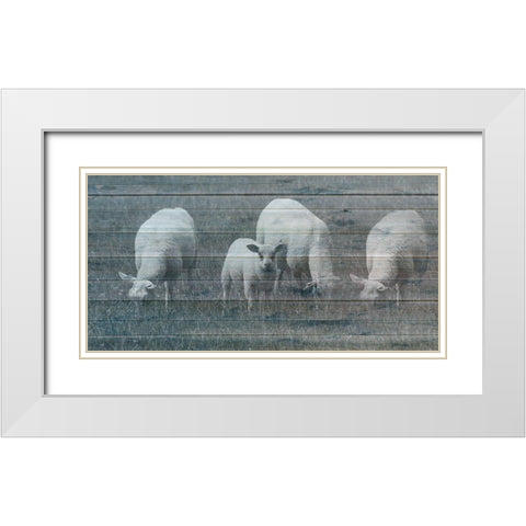 Sheepish 2 White Modern Wood Framed Art Print with Double Matting by Phillip, Jamie