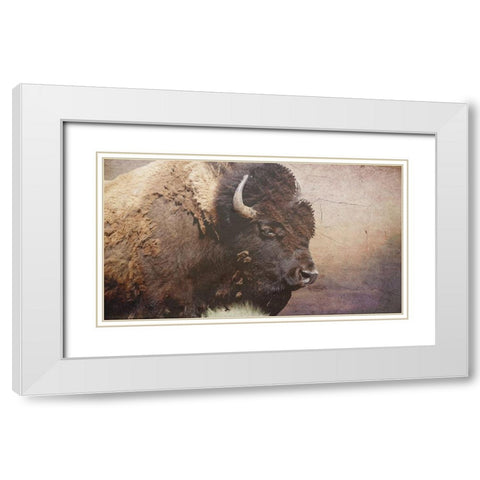 Wild Bison White Modern Wood Framed Art Print with Double Matting by Phillip, Jamie