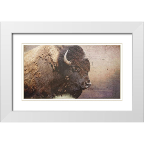 Wild Bison White Modern Wood Framed Art Print with Double Matting by Phillip, Jamie