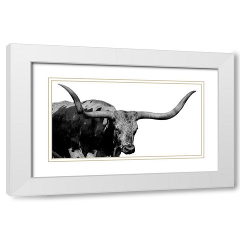 Long Horn Silver White Modern Wood Framed Art Print with Double Matting by Phillip, Jamie