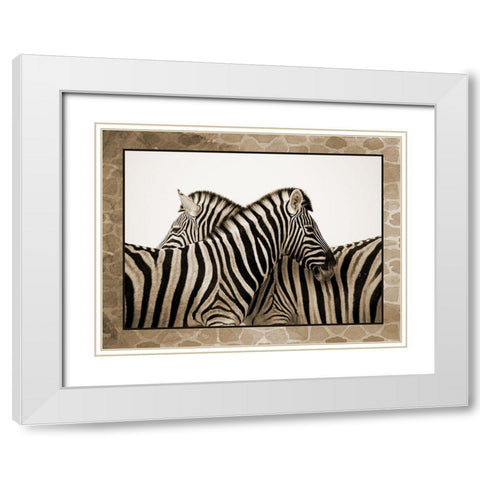 Zebras White Modern Wood Framed Art Print with Double Matting by Phillip, Jamie