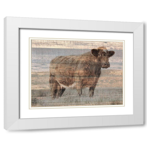 Farm Cow White Modern Wood Framed Art Print with Double Matting by Phillip, Jamie