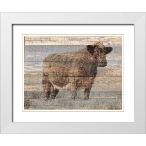 Farm Cow White Modern Wood Framed Art Print with Double Matting by Phillip, Jamie