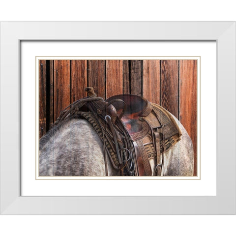 Horse On The Ranch White Modern Wood Framed Art Print with Double Matting by Phillip, Jamie