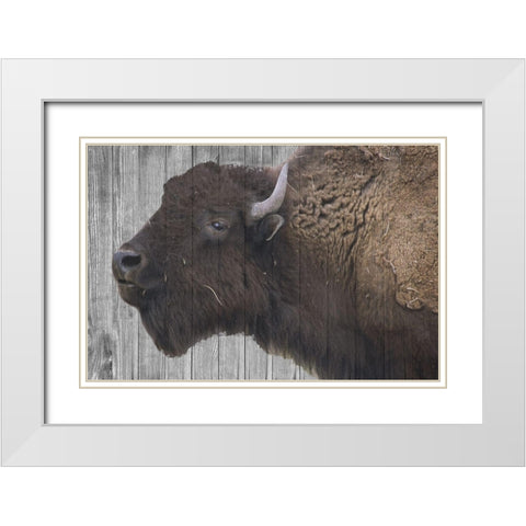 Buffalo Alpha White Modern Wood Framed Art Print with Double Matting by Phillip, Jamie