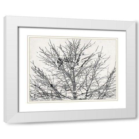 Front Door View White Modern Wood Framed Art Print with Double Matting by Phillip, Jamie