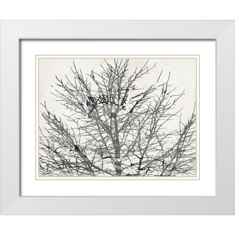 Front Door View White Modern Wood Framed Art Print with Double Matting by Phillip, Jamie