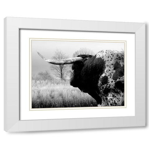 Bull On The Farm White Modern Wood Framed Art Print with Double Matting by Phillip, Jamie