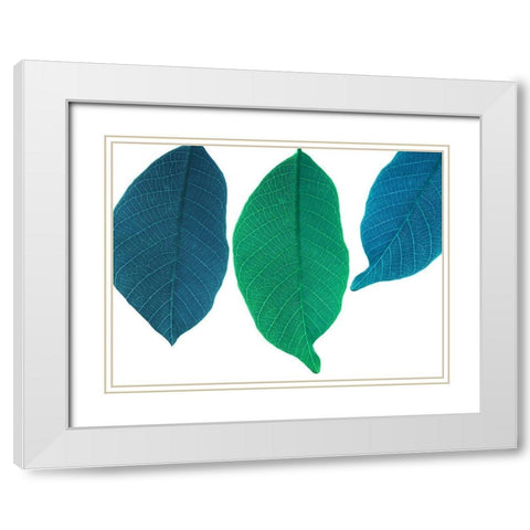 Xrayed White Modern Wood Framed Art Print with Double Matting by Phillip, Jamie