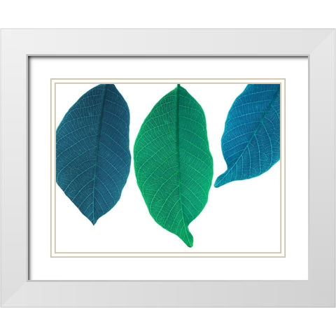 Xrayed White Modern Wood Framed Art Print with Double Matting by Phillip, Jamie