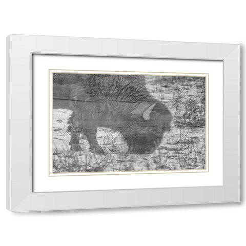 American Buffalo White Modern Wood Framed Art Print with Double Matting by Phillip, Jamie