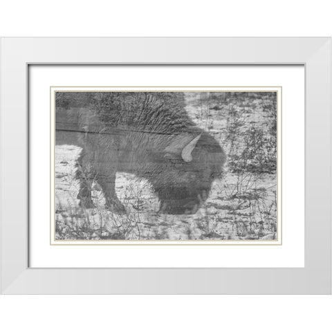American Buffalo White Modern Wood Framed Art Print with Double Matting by Phillip, Jamie