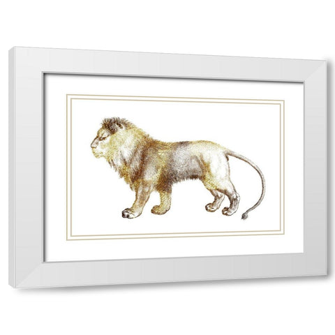 Leo White Modern Wood Framed Art Print with Double Matting by Phillip, Jamie