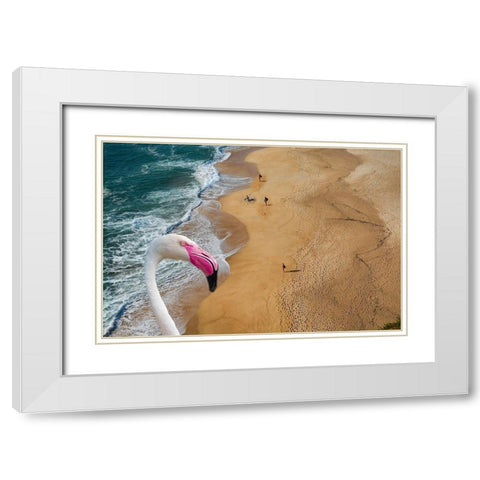 Flamingo Bay White Modern Wood Framed Art Print with Double Matting by Phillip, Jamie