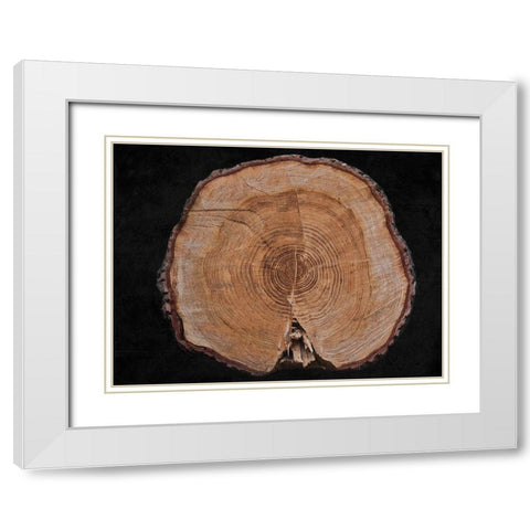 Dark Wood White Modern Wood Framed Art Print with Double Matting by Phillip, Jamie