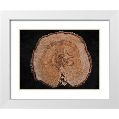 Dark Wood White Modern Wood Framed Art Print with Double Matting by Phillip, Jamie