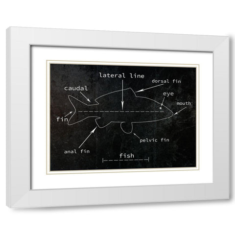 Fish White Modern Wood Framed Art Print with Double Matting by Phillip, Jamie