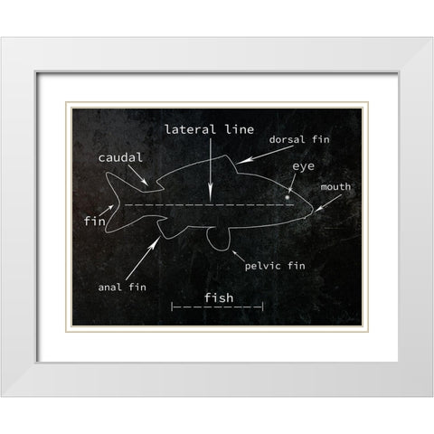 Fish White Modern Wood Framed Art Print with Double Matting by Phillip, Jamie