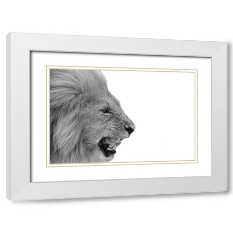Lion White Modern Wood Framed Art Print with Double Matting by Phillip, Jamie
