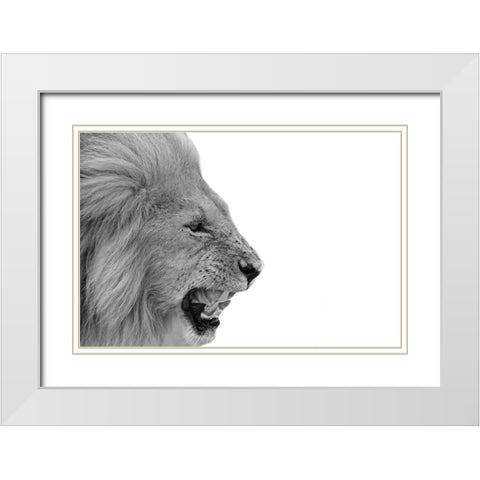 Lion White Modern Wood Framed Art Print with Double Matting by Phillip, Jamie