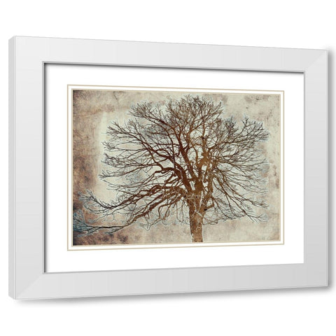 Tree White Modern Wood Framed Art Print with Double Matting by Phillip, Jamie