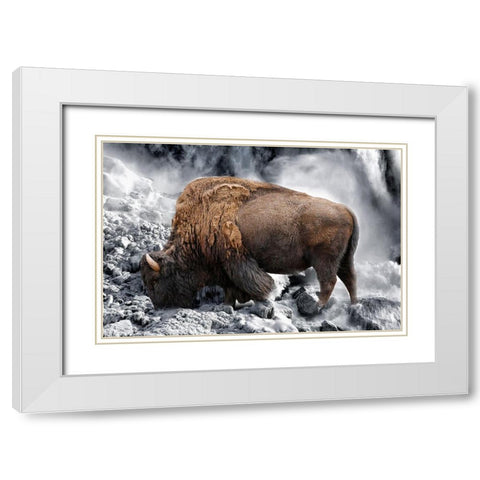 Bison Season 3 White Modern Wood Framed Art Print with Double Matting by Phillip, Jamie