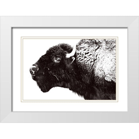 Bison Season 7 White Modern Wood Framed Art Print with Double Matting by Phillip, Jamie
