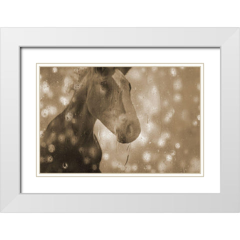 Browney Farm Horse White Modern Wood Framed Art Print with Double Matting by Phillip, Jamie