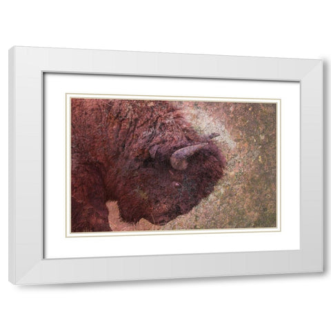 Brown Buffalo White Modern Wood Framed Art Print with Double Matting by Phillip, Jamie