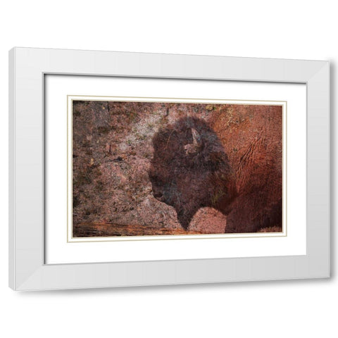 Brown Buffalo 2 White Modern Wood Framed Art Print with Double Matting by Phillip, Jamie