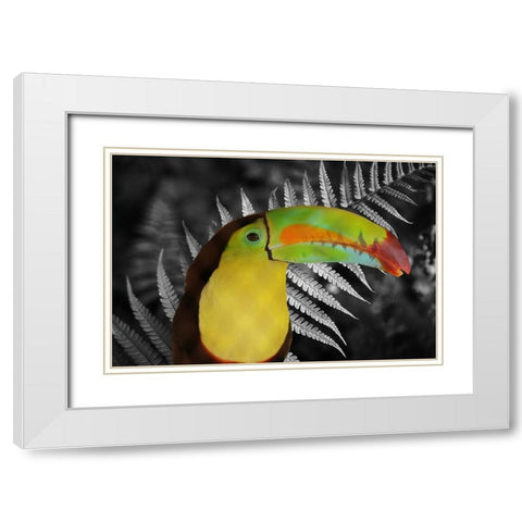 Toucan Black White Modern Wood Framed Art Print with Double Matting by Phillip, Jamie
