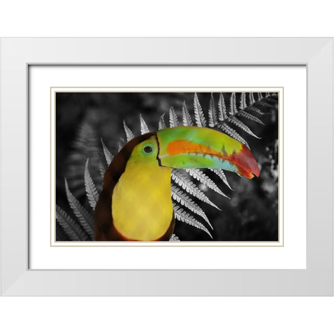 Toucan Black White Modern Wood Framed Art Print with Double Matting by Phillip, Jamie