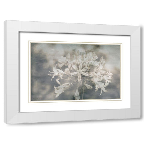 Garden Escape White Modern Wood Framed Art Print with Double Matting by Phillip, Jamie