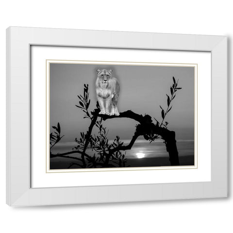Lion In The Darkness White Modern Wood Framed Art Print with Double Matting by Phillip, Jamie