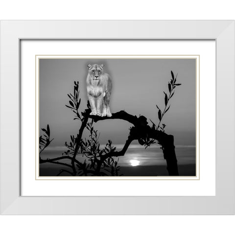 Lion In The Darkness White Modern Wood Framed Art Print with Double Matting by Phillip, Jamie