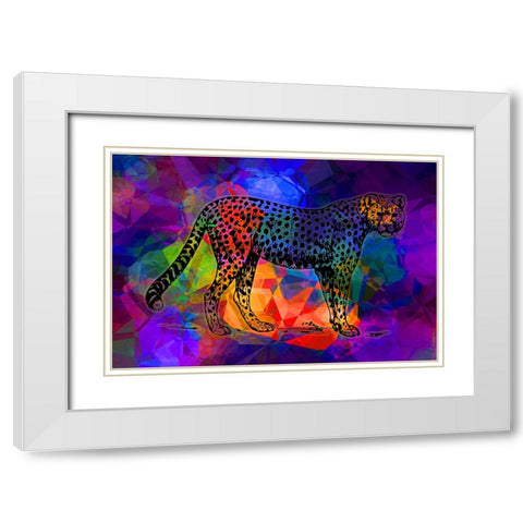 Big Cat 2 White Modern Wood Framed Art Print with Double Matting by Phillip, Jamie