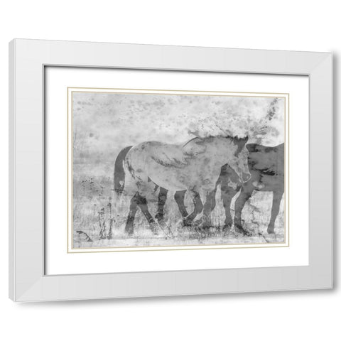 Ranch Horse White Modern Wood Framed Art Print with Double Matting by Phillip, Jamie