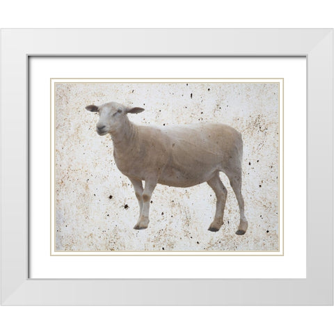 Sheepish White Modern Wood Framed Art Print with Double Matting by Phillip, Jamie