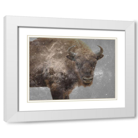 Trad Buff White Modern Wood Framed Art Print with Double Matting by Phillip, Jamie