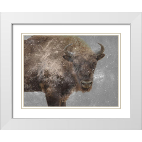 Trad Buff White Modern Wood Framed Art Print with Double Matting by Phillip, Jamie