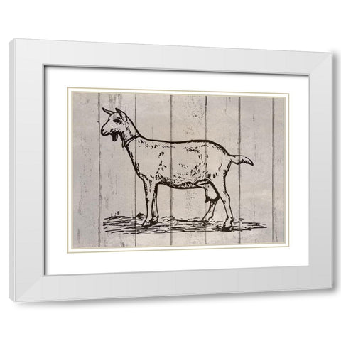 Goat White Modern Wood Framed Art Print with Double Matting by Phillip, Jamie