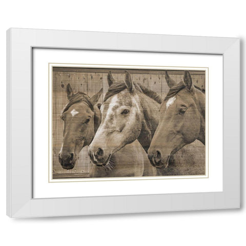 Companion White Modern Wood Framed Art Print with Double Matting by Phillip, Jamie