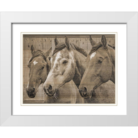 Companion White Modern Wood Framed Art Print with Double Matting by Phillip, Jamie