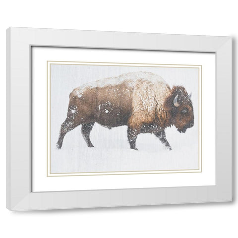 Winter Bison White Modern Wood Framed Art Print with Double Matting by Phillip, Jamie