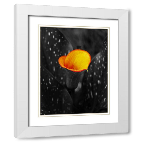 Midnight Glow White Modern Wood Framed Art Print with Double Matting by Phillip, Jamie