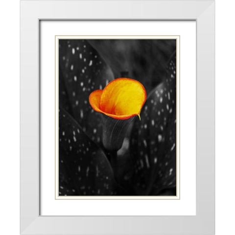 Midnight Glow White Modern Wood Framed Art Print with Double Matting by Phillip, Jamie